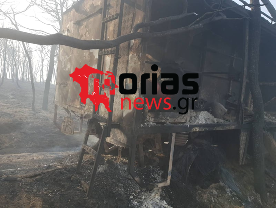 Πυρκαγιά στις Κεχριές: Κάηκε όχημα της Πυροσβεστικής (φωτο)